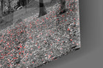 Red Tree panel catching daylight to reveal its selective color grove