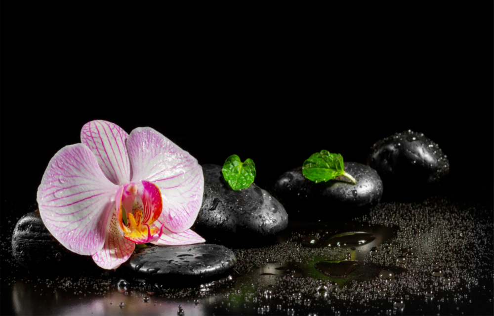 Spa Glass Wall Art