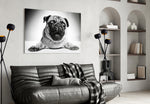 Pug panel adding daily charm to a home office wall