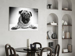 Pug glass print enhancing a hallway or entryway with friendly greeting