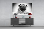 Fine art black and white photography – charming pug dog in close-up portrait, lying with paws forward and looking straight at viewer