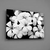 Close-up detail of the plumeria petals in sharp monochrome