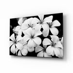 Black and white plumeria panel bringing botanical elegance to a contemporary living space