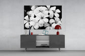 Fine art monochrome photography – cluster of plumeria frangipani blossoms with velvety petal detail against near-black background