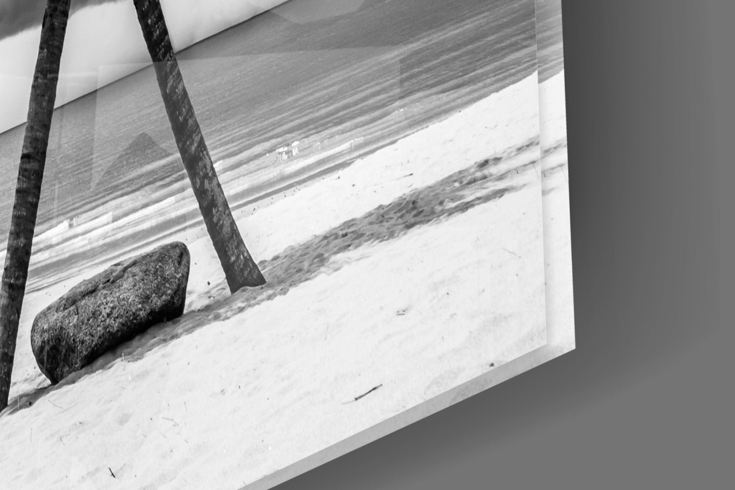 Palm Trees Glass Wall Art.