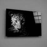 Close-up detail of the leopard's spotted face emerging from deep shadow