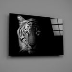 Close-up detail of the tiger's striped face emerging from deep shadow