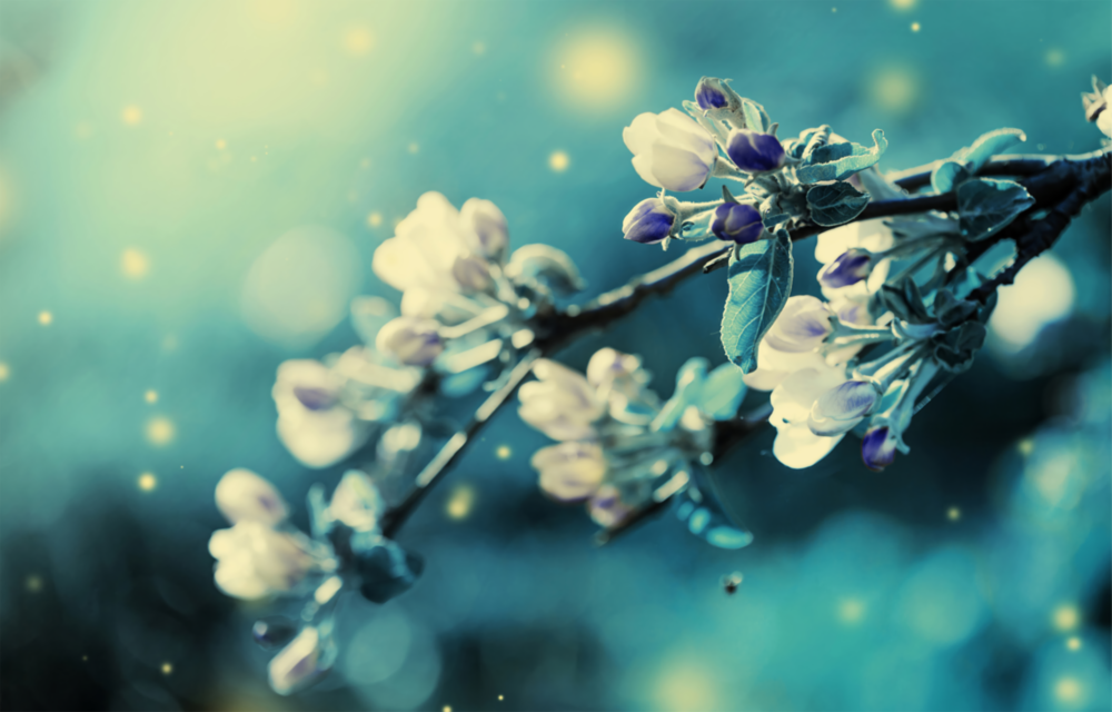 Flower Glass Wall Art