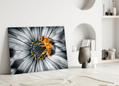 Honey Bee glass wall art styled above a kitchen counter