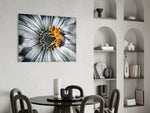 Honey Bee glass print enhancing a sunroom with selective-color charm