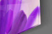 Flower panel catching daylight to reveal its violet palette