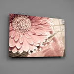 Close-up detail of the pink gerbera in warm sepia tones