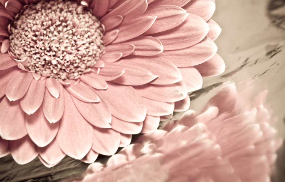 Flower Glass Wall Art