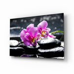 Pink orchid spa panel bringing wellness calm to a contemporary living space