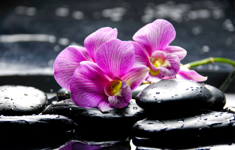Spa Glass Wall Art