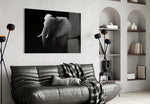 Elephant glass wall art styled above a sofa in a bold living room