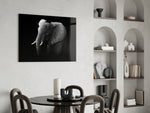 Elephant panel anchoring a heritage-mood study