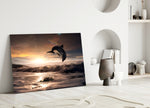 Close-up detail of the dolphin arcing above sunset ocean waves