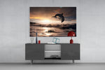 Dolphin panel catching warm light to reveal its sunset palette