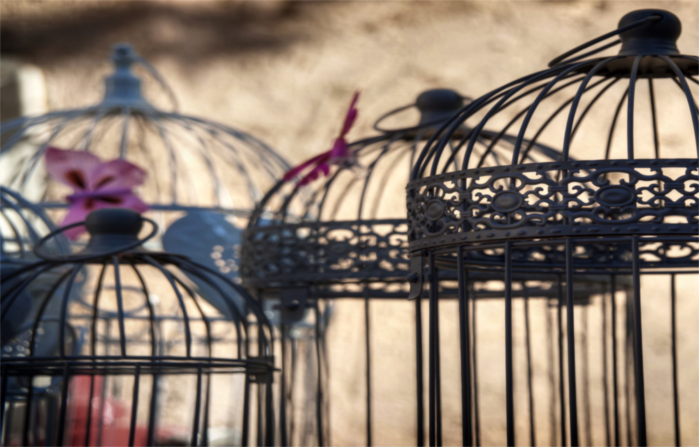 Birdcage Glass Wall Art