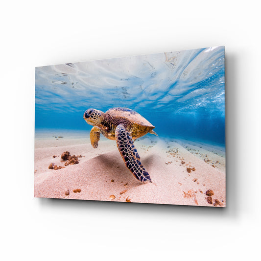 Sea Turtle glass wall art displayed above a console in a designer interior