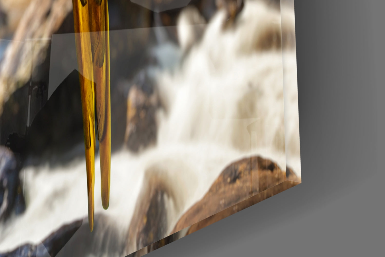 Parrots Glass Wall Art.