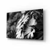 Black-White Flower glass wall art displayed above a console in a designer interior