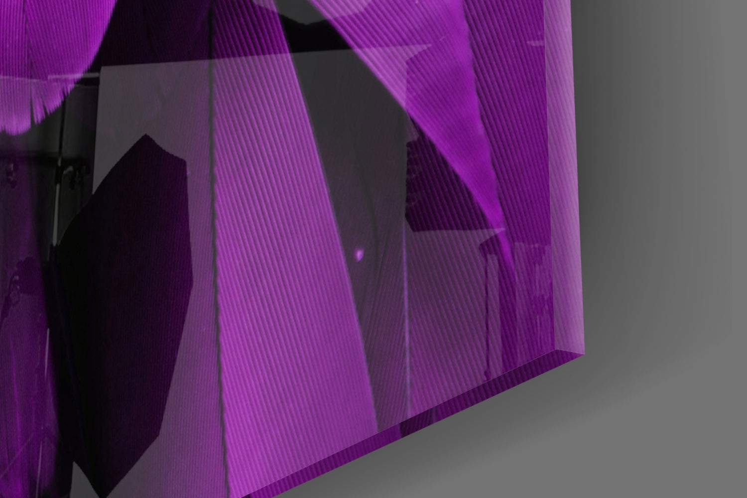 Bird Feathers Glass Wall Art.