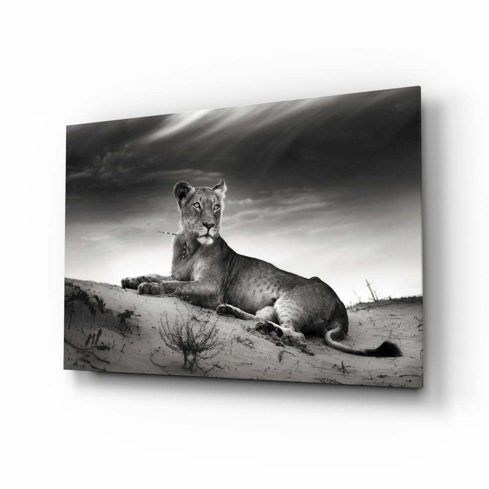 Lioness glass wall art displayed above a console in a designer interior