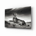 Lioness glass wall art displayed above a console in a designer interior