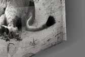 Lioness artwork anchoring a library with monochrome palette