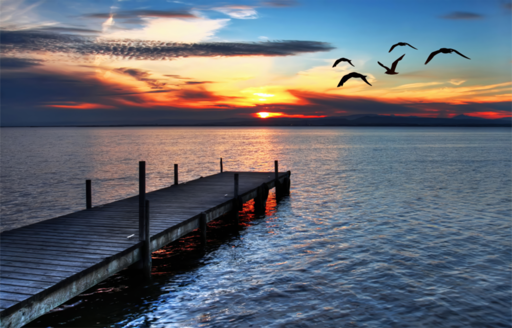 Dock Glass Wall Art