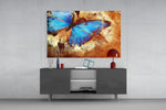 Butterfly panel catching warm light to reveal its iridescent blue