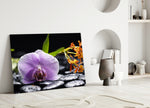 Close-up detail of the purple orchid and orange bloom on wet stones