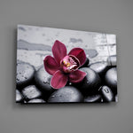 Wine orchid spa panel bringing luxe calm to a contemporary living space