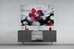 Spa panel catching soft light to reveal its velvet petals