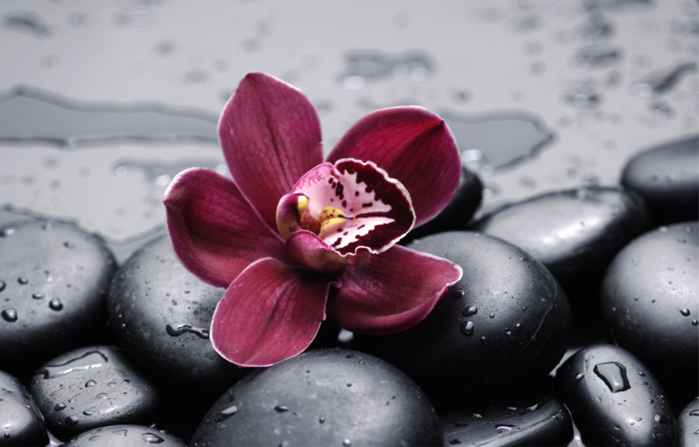 Spa Glass Wall Art