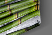 Spa artwork anchoring a hallway with zen palette