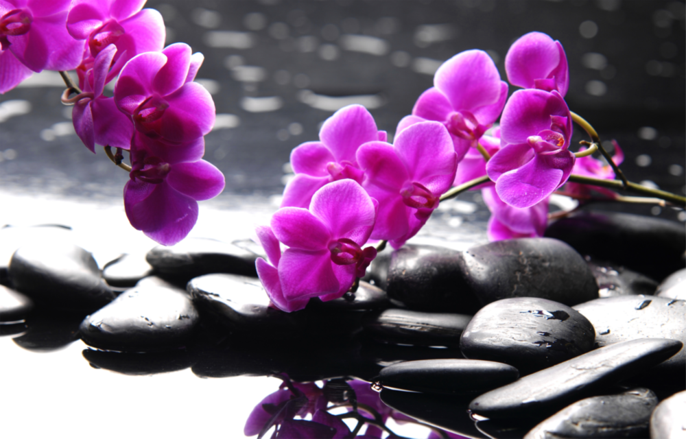 Spa Glass Wall Art