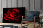 Red Rose glass print enhancing a lounge with statement color