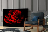 Red Rose glass print enhancing a lounge with statement color