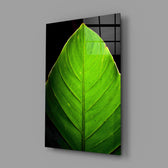 Green Leaf panel bringing botanical calm to a contemporary living space