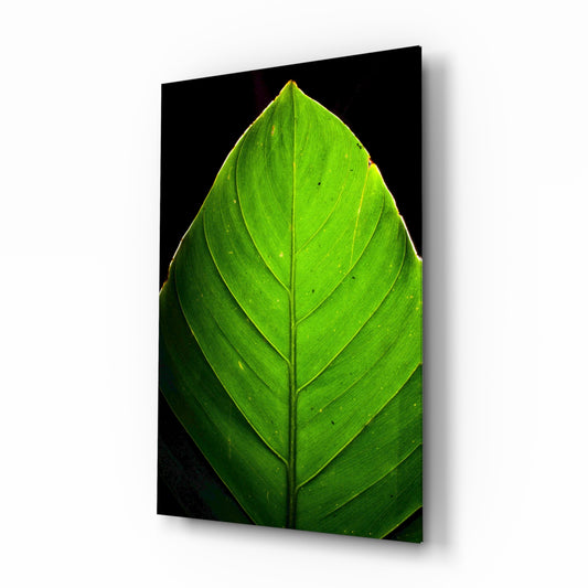 Green Leaf glass wall art displayed above a console in a designer interior