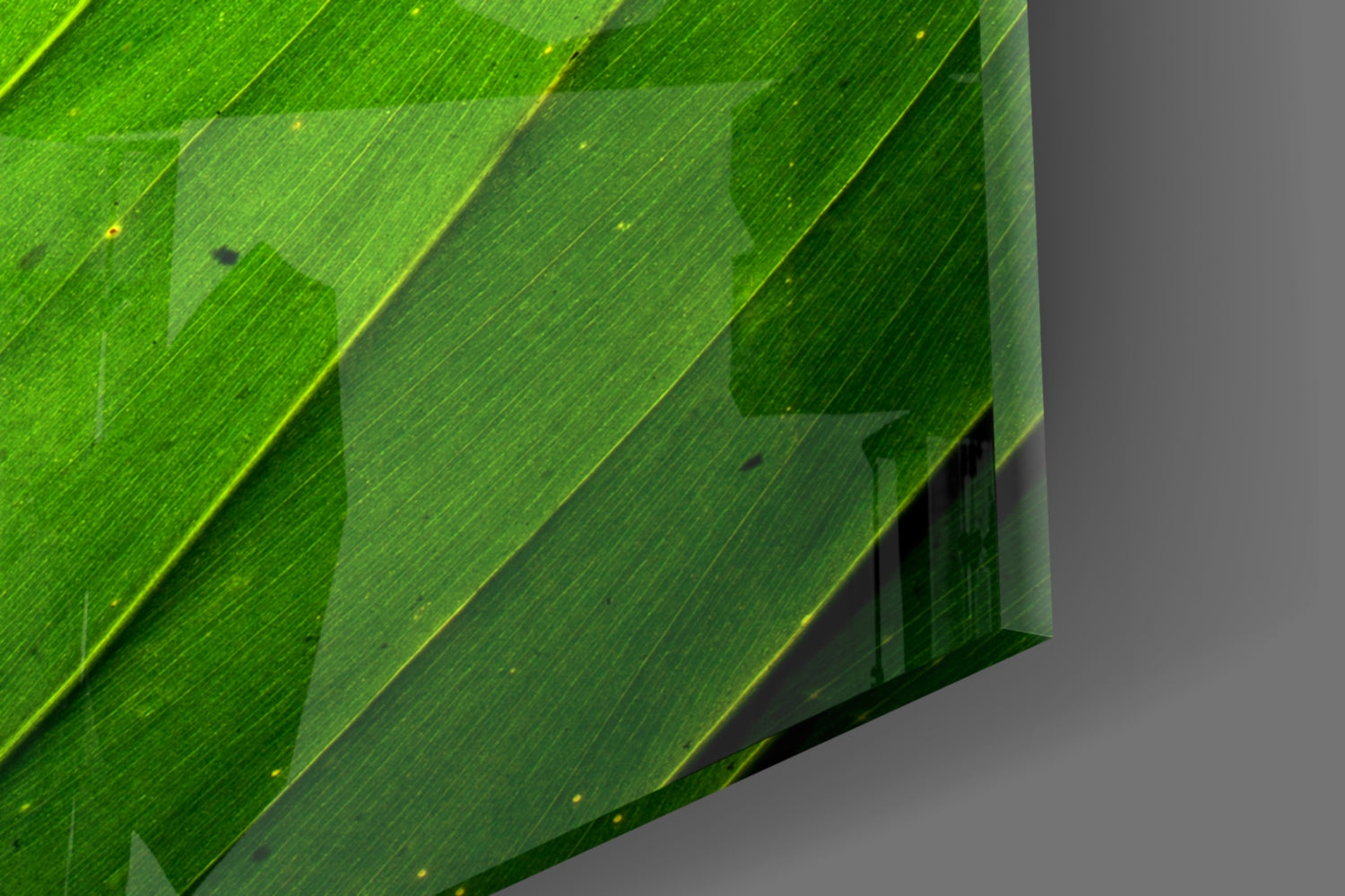 Green Leaf Glass Wall Art.