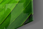 Green Leaf artwork anchoring a plant-filled living room
