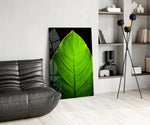 Green Leaf panel adding spa energy to a bathroom