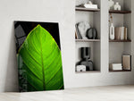 Green Leaf glass print enhancing a kitchen nook with fresh greenery