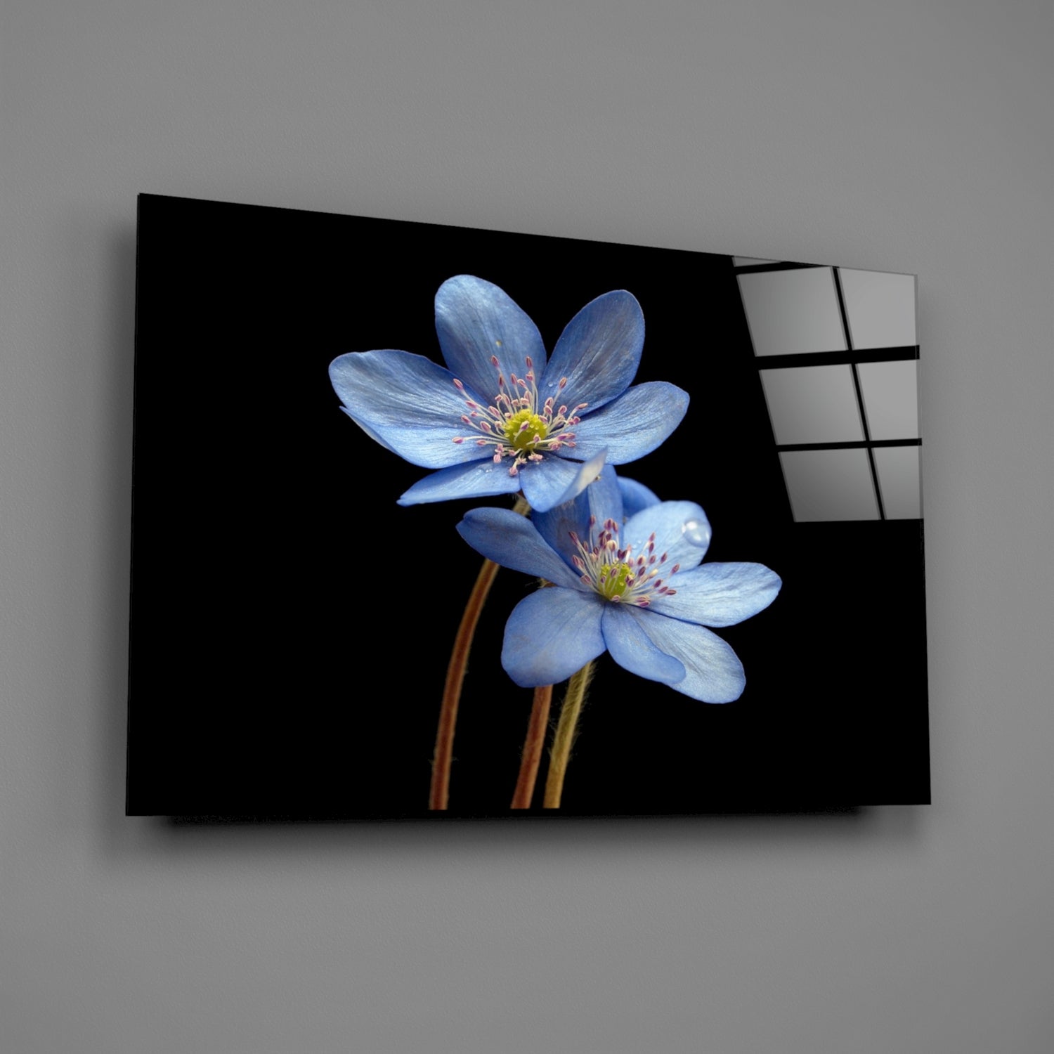 Blue Flower Glass Wall Art.
