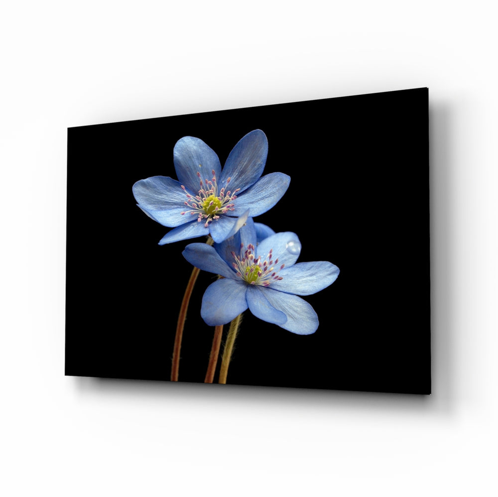 Blue Flower glass wall art displayed above a console in a designer interior