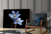 Blue Flower glass print enhancing a reading nook with poetic warmth